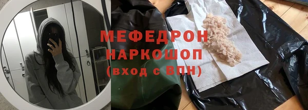 хмурый Аркадак