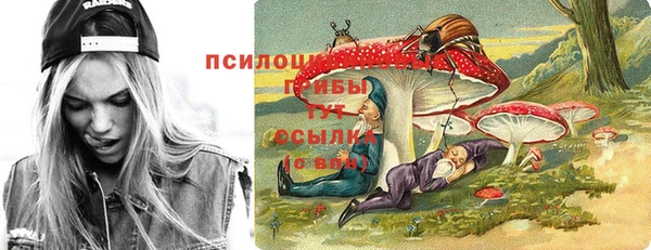 хмурый Аркадак