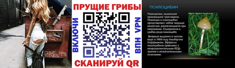 Псилоцибиновые грибы Cubensis  купить  сайты  Борзя 